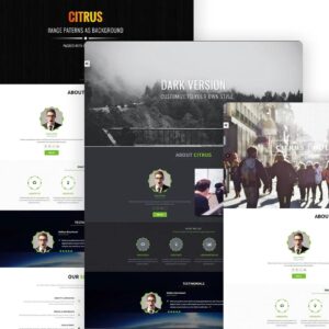 Citrus - One Page WordPress Theme