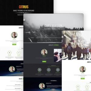 Citrus - One Page WordPress Theme